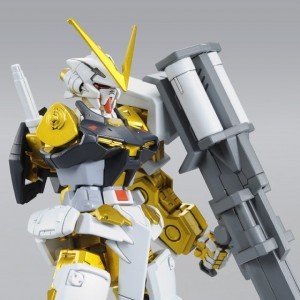 banml031