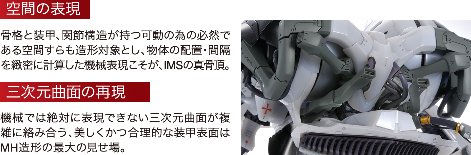 ims065