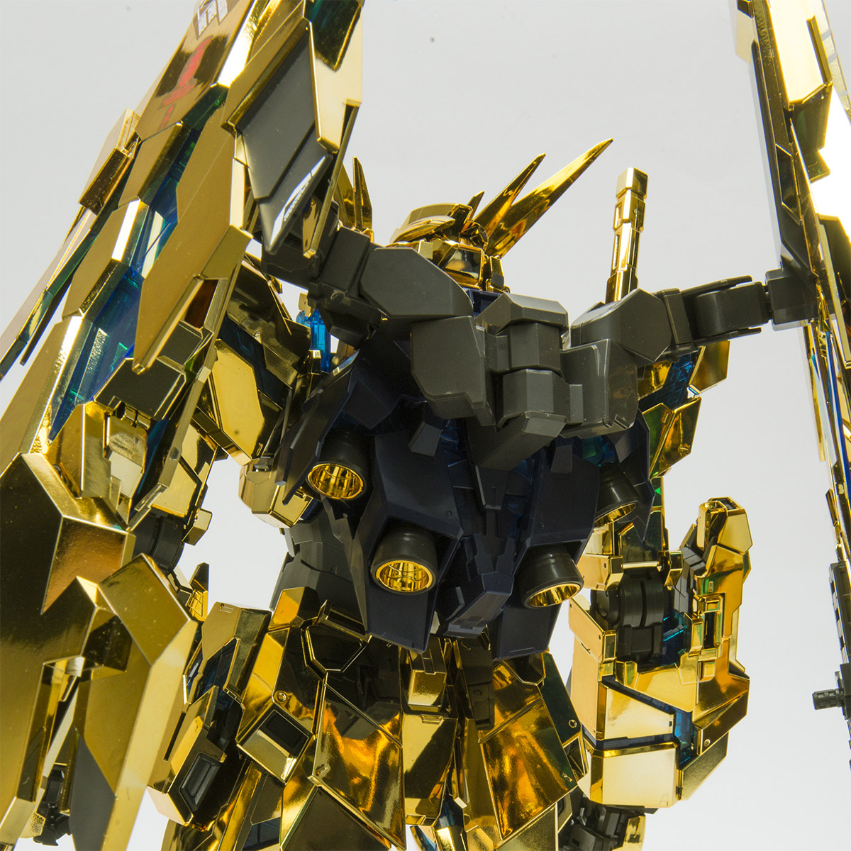 phenex_detail02