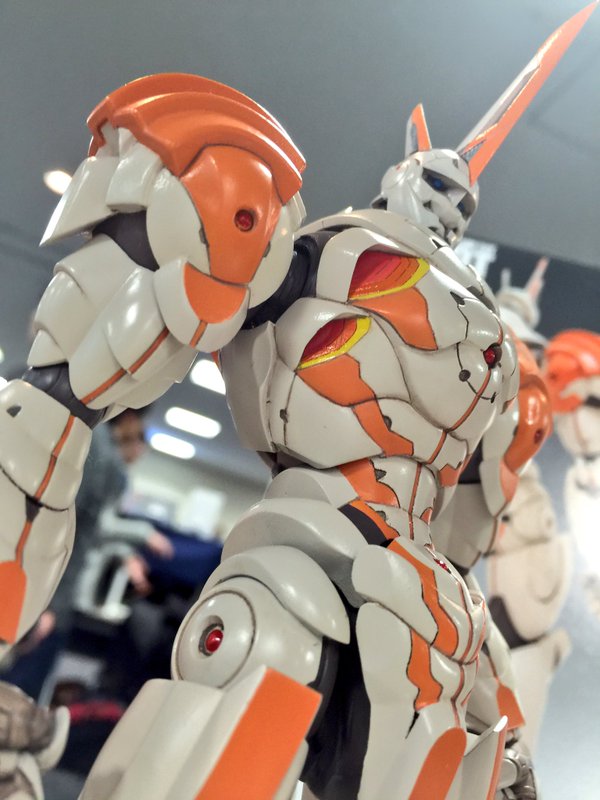 RY009