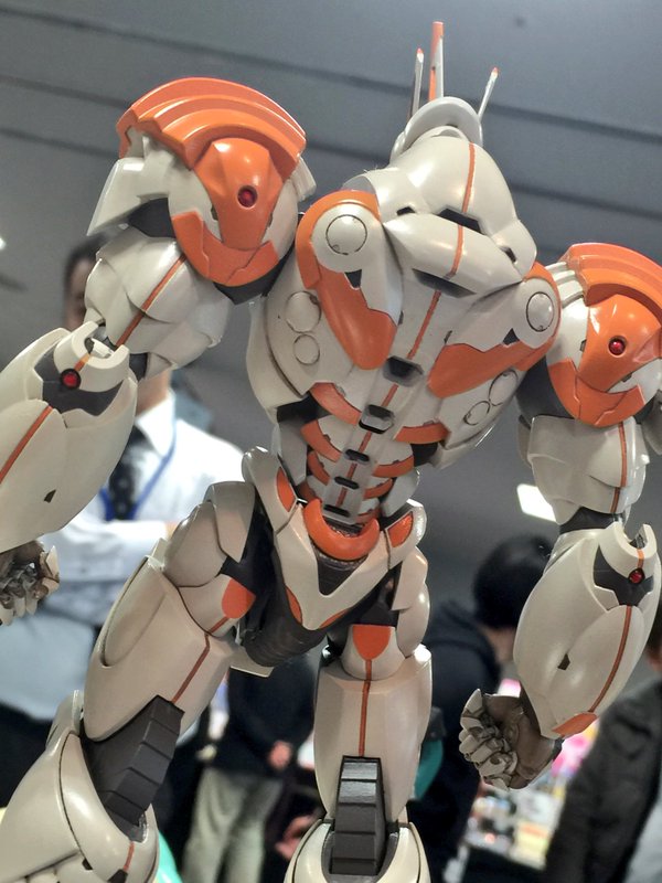 RY011
