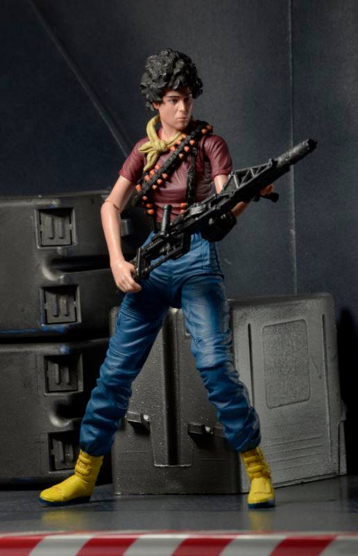 NECA160904