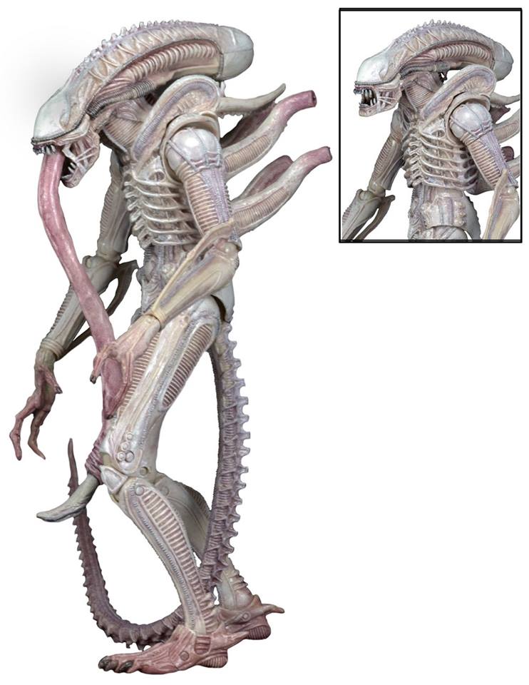 NECA160911