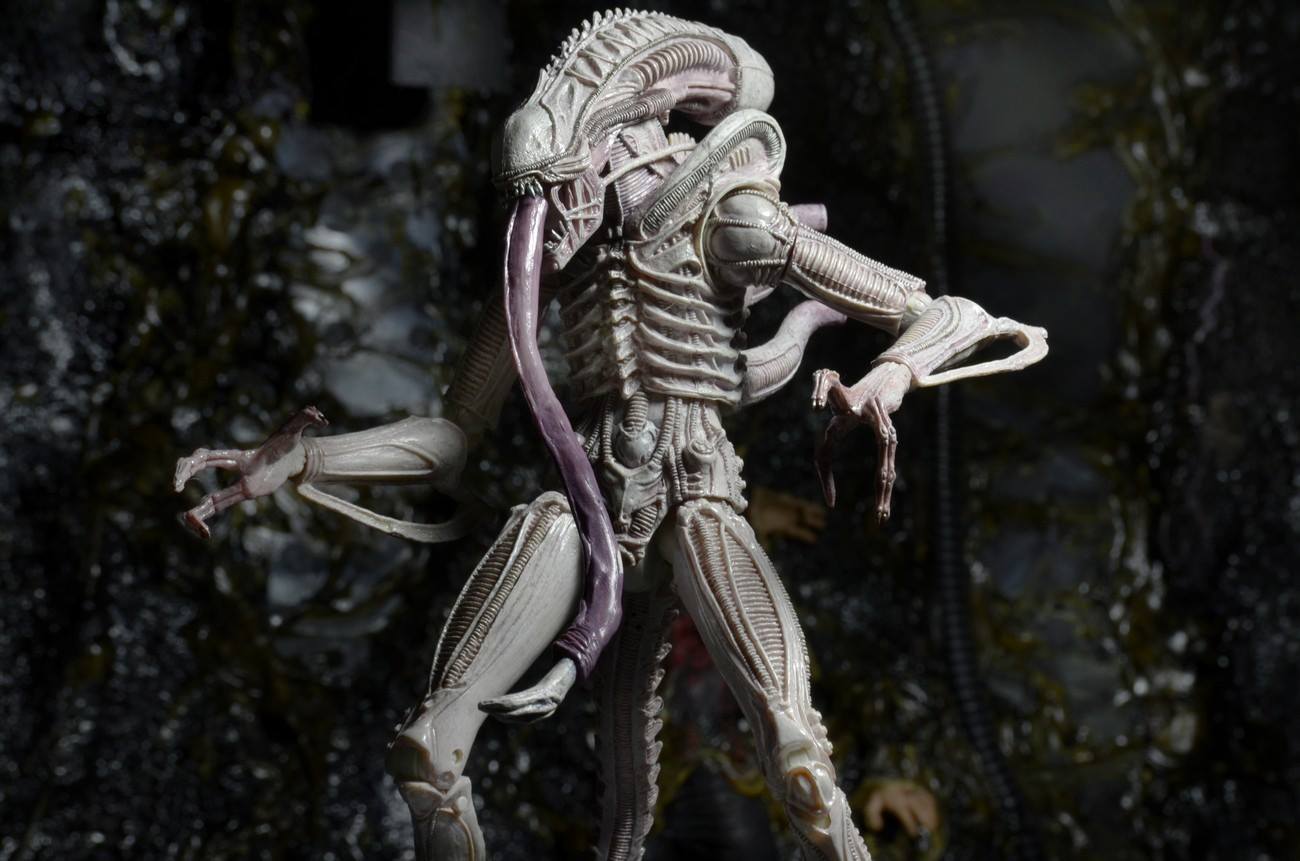 NECA160915