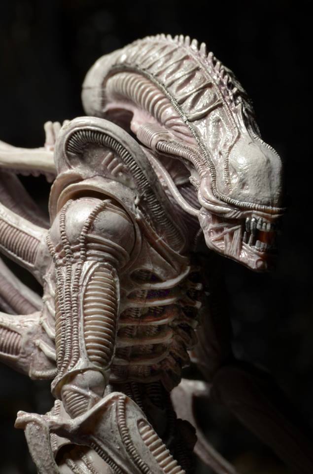 NECA160918