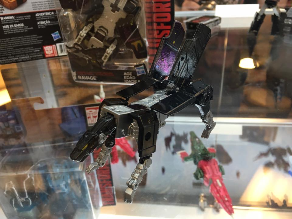 TF66
