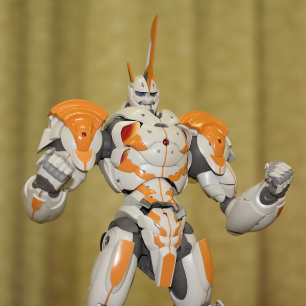 tg006