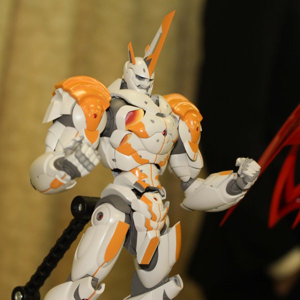 tg007