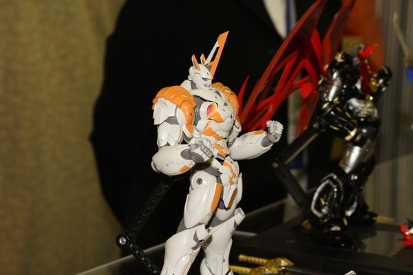tg008