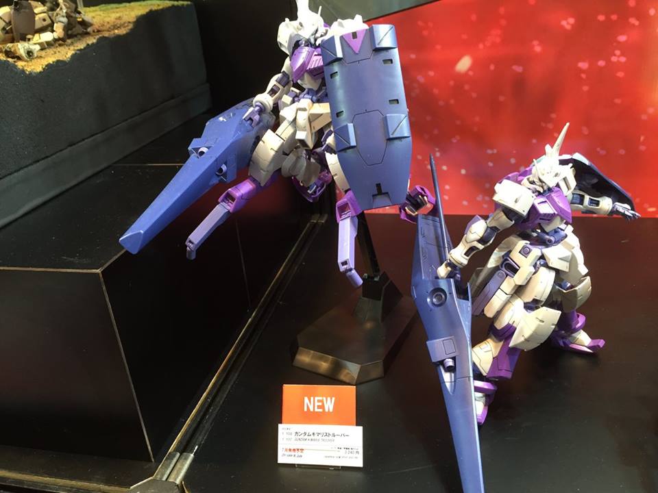 HS013