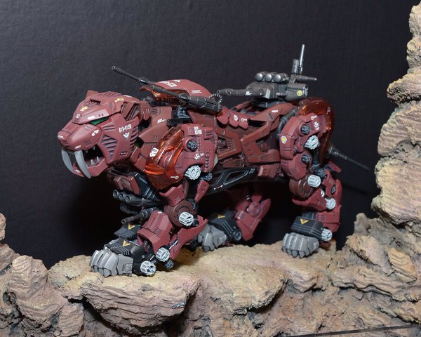 hs009