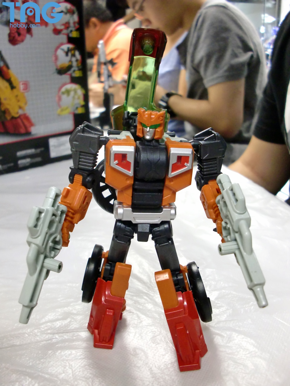 CIMG0882 (960x1280)