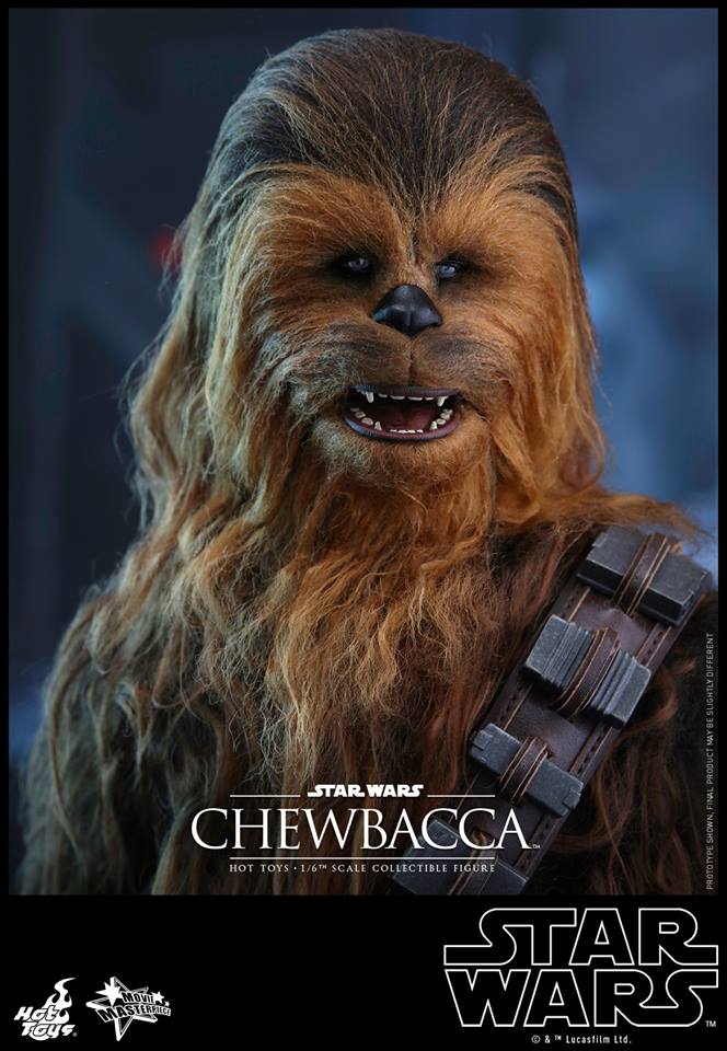SW19