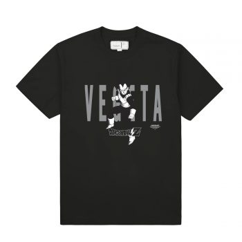 TE1181 VIGETA TTL