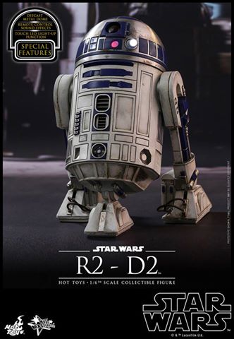 sw01