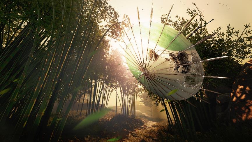 一張含有 戶外, 陽光, 植物, 天空 的圖片
AI 產生的內容可能不正確。