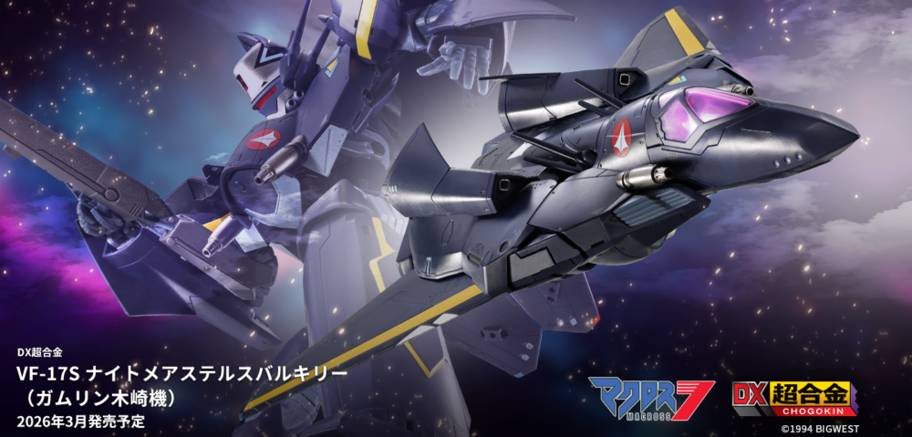 マクロスVF-17S Special Stealth Valkyrie 1/65 Bandai 2001 1/65 Robotech Macross 7 VF-17S Special Stealth