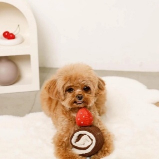 A dog lying on a rug with a stuffed animal
AI-generated content may be incorrect.