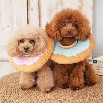 Two dogs wearing donuts around each other
AI-generated content may be incorrect.