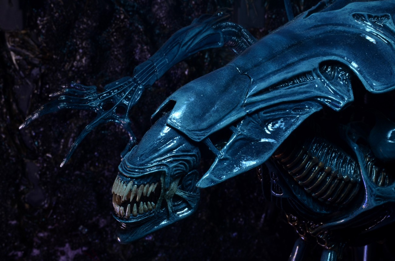 [new photo added on 28 oct] neca 2014年10月发售: aliens –