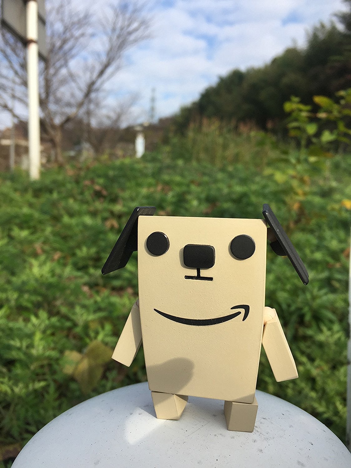 jp限定 revoltech line pochi with pochi minicar