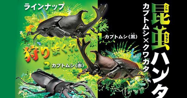 F Toys 17年6月發售 食玩昆虫hunter Beetle X Stag Beetle 全5種 350yen hobby Com