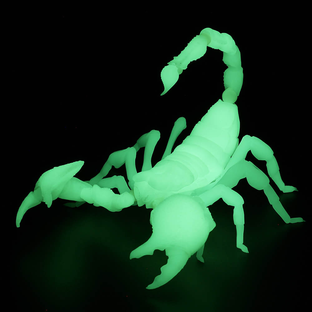 海洋堂 2019年3月1日发售: [海洋堂store限定] acti