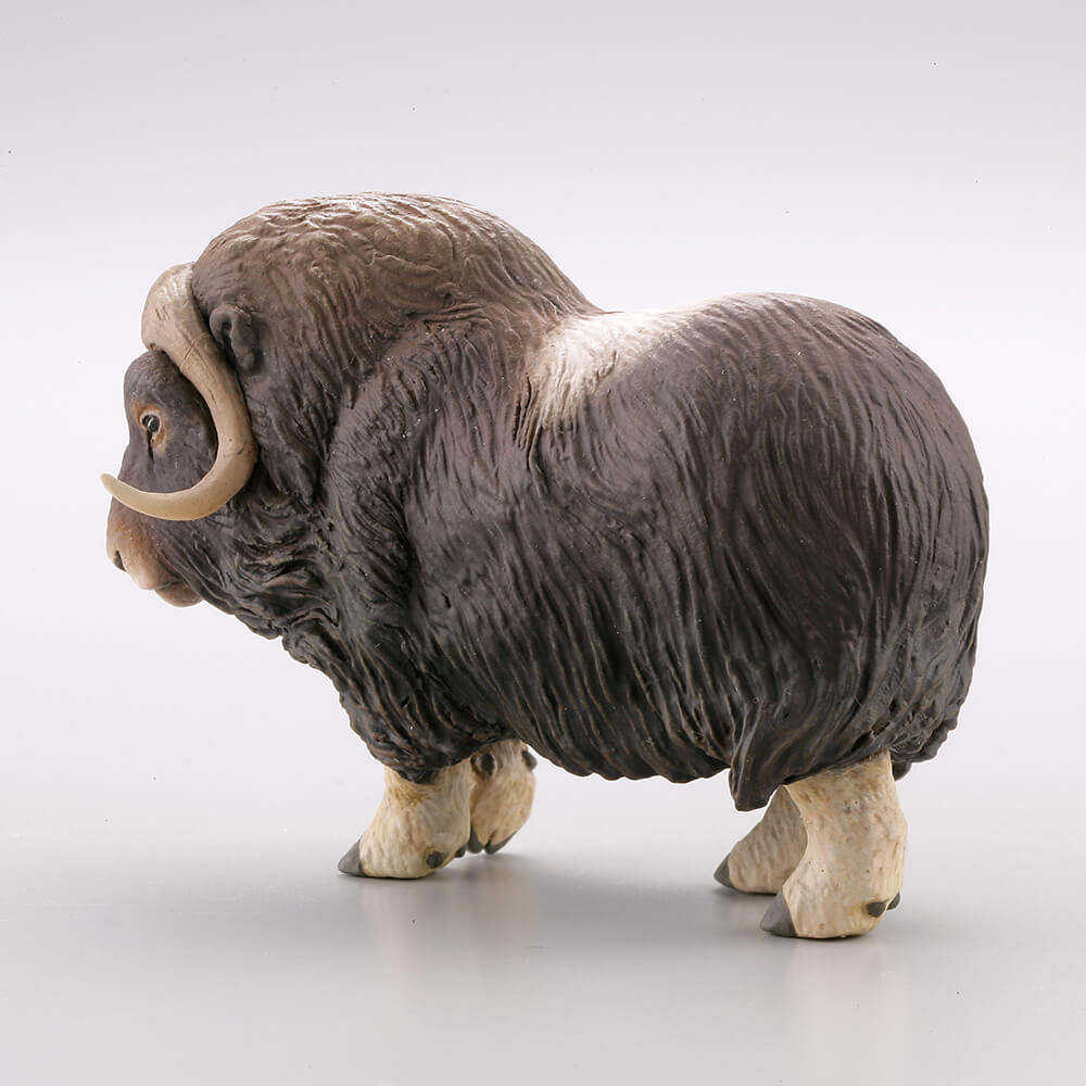 海洋堂 2019年6月20日发售:盒玩 miniq wild rush 真世界动物志Ⅲ