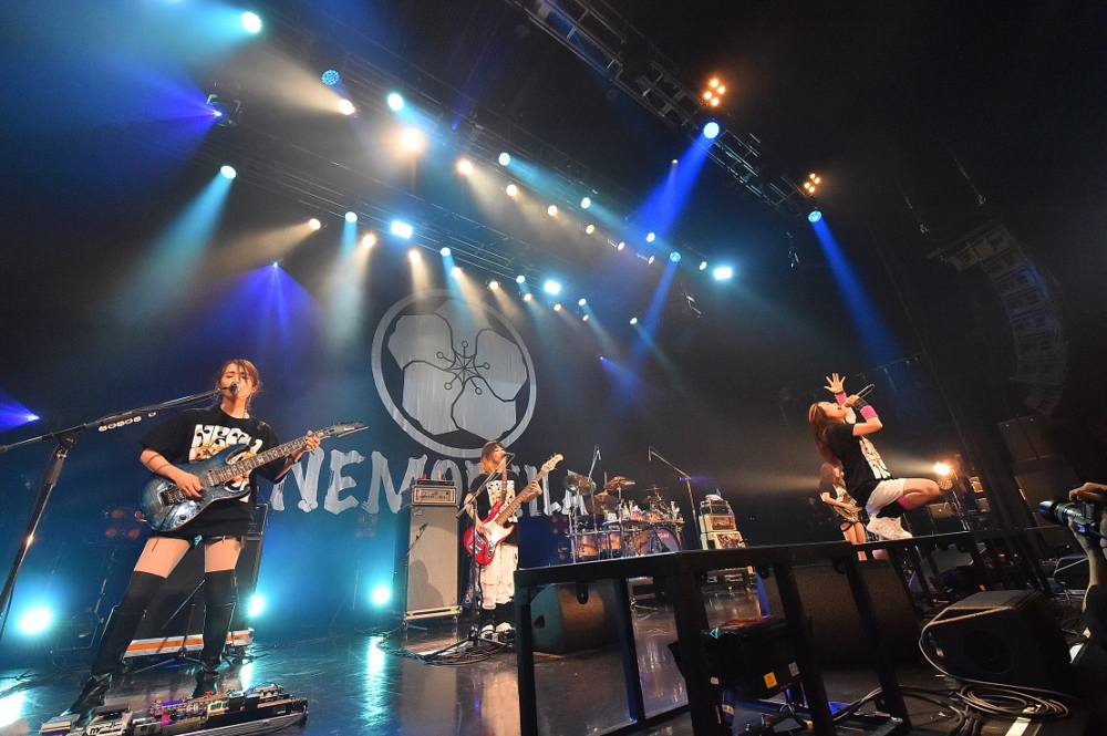 NEMOPHILA/LIVE 2022-REVIVE～It's sooooo … Amazon.co.jp: NEMOPHILA LIVE 2022 -REVIVE ~It's sooooo nice to