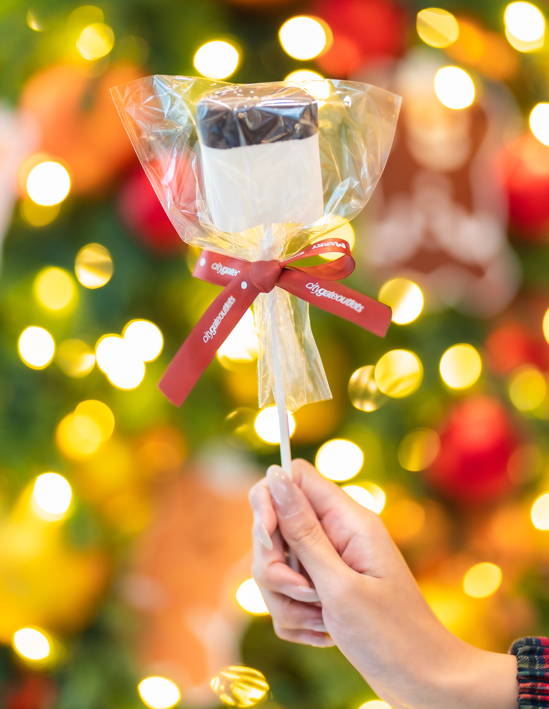 A hand holding a marshmallow on a stick
Description automatically generated