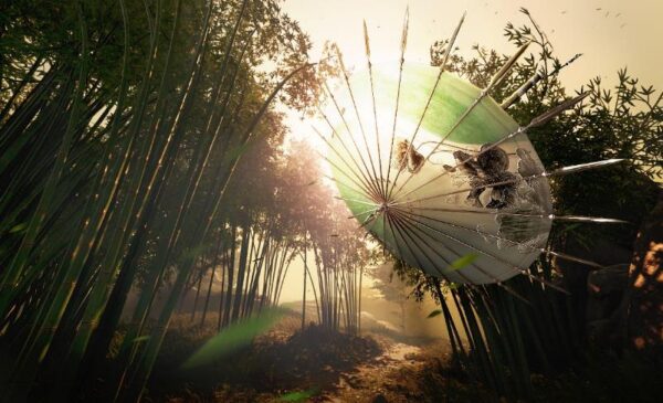 一張含有 戶外, 陽光, 植物, 天空 的圖片 AI 產生的內容可能不正確。