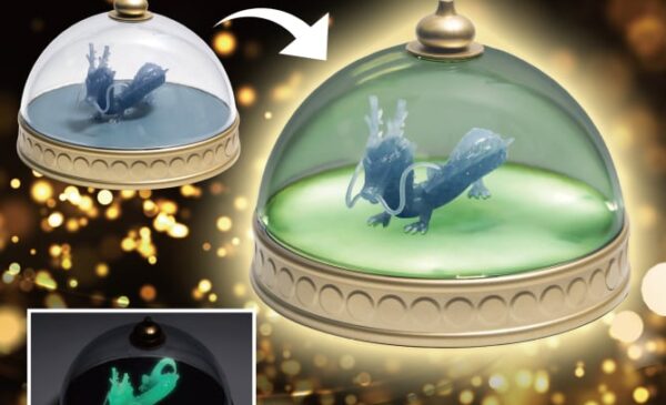 ドラゴンボール 神龍の模型ルームライト 10個セット ドラゴンボール